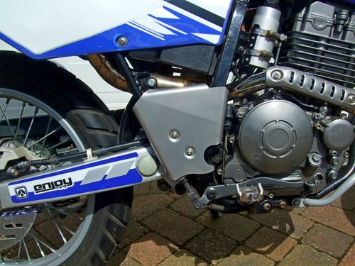 Frame guards for TTR250 - stainless steel with fixings