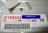 Carb pilot screw set - genuine Yamaha part
