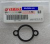 Cam Chain / Tensioner Gasket - genuine Yamaha part