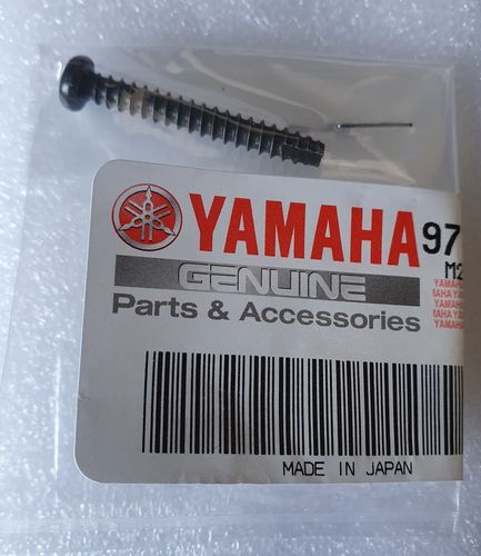Tail light lens screw - Genuine Yamaha Part